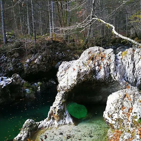 Planika B&m Bohinj