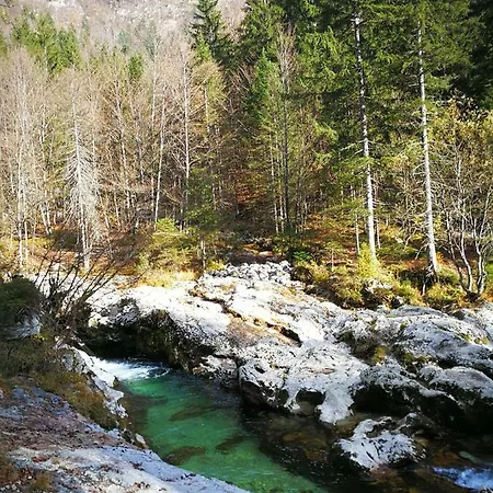 Planika B&m Bohinj