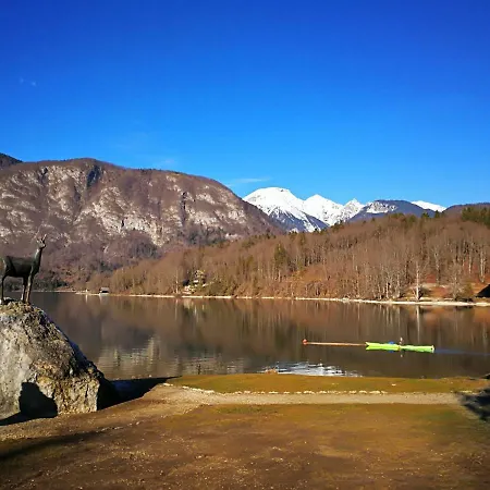 Planika B&m Daire Bohinj