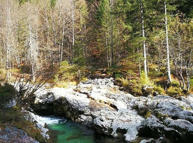Planika B&m Bohinj