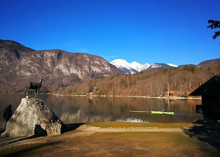 Planika B&m Lägenhet Bohinj